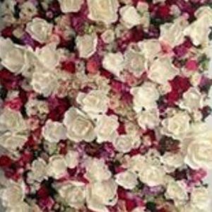 Meet your Posher, Corina